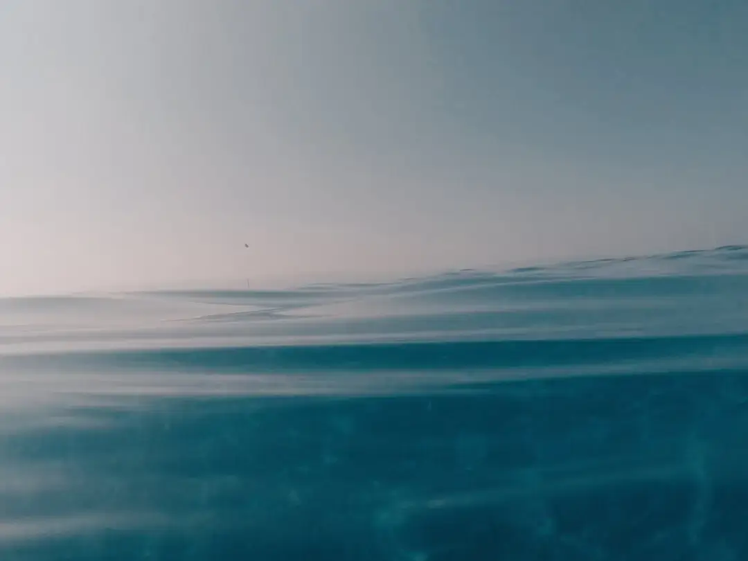 A scuba diver exploring the vibrant marine life and clear blue waters of the Adriatic Sea during a diving excursion.