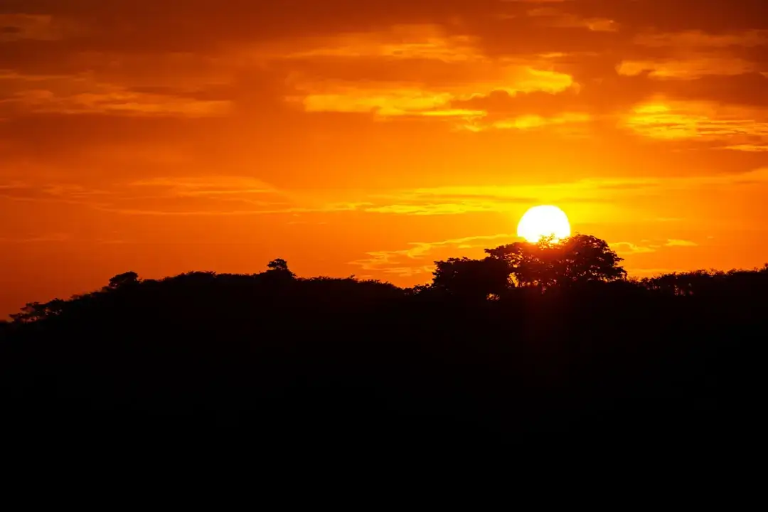 Silhouette of ancient baobab trees along the Avenue of the Baobabs in Madagascar during a vibrant orange sunset.