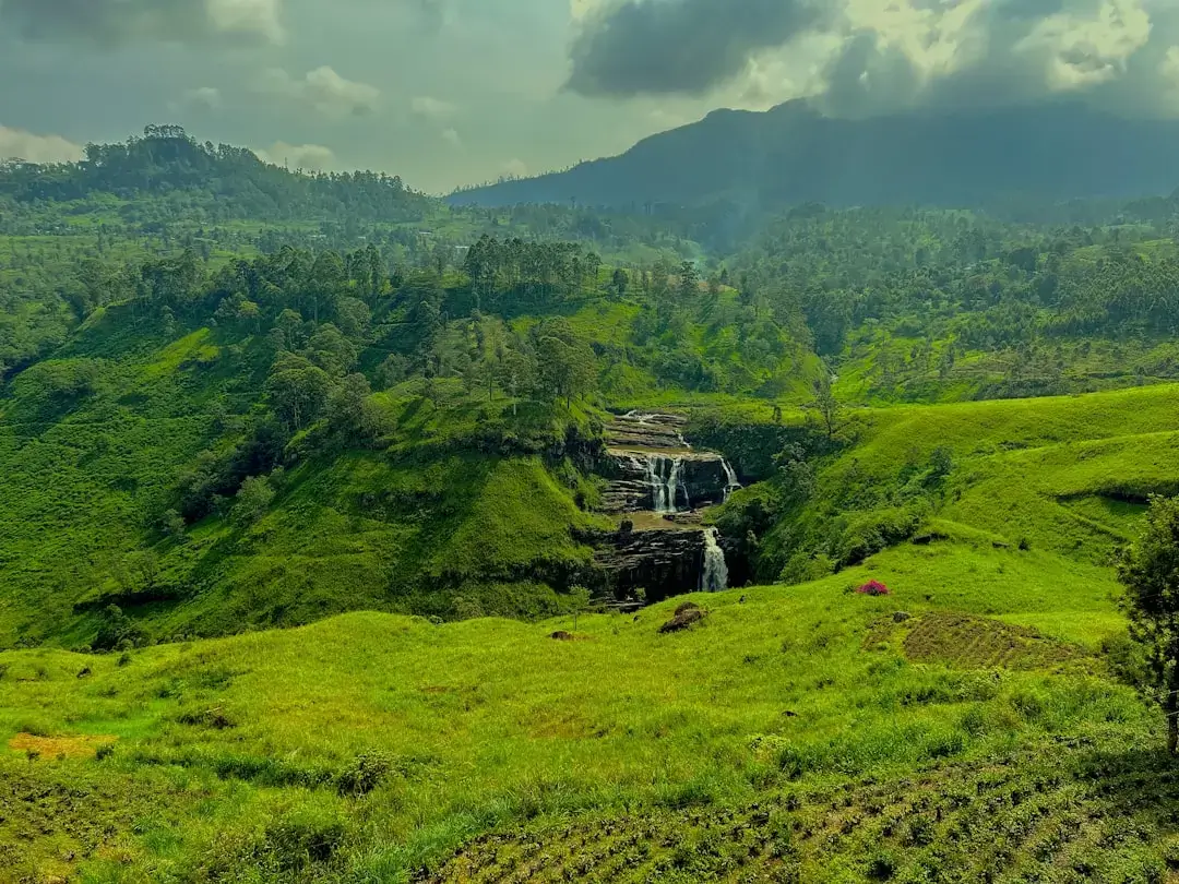 A blue passenger train winding through the lush green tea plantations and misty mountains of the Sri Lankan highlands.