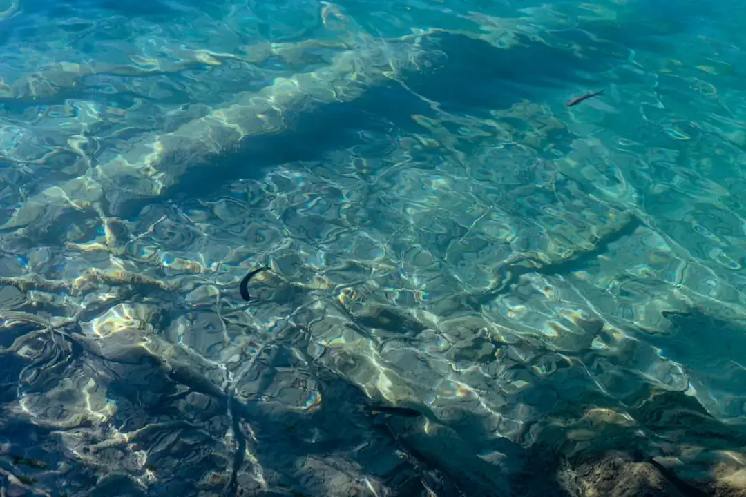 Crystal clear turquoise water of the Ionian Sea rippling over a sandy seabed in Greece.