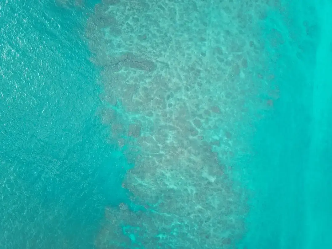 A wide shot of a bleached and skeletal coral reef damaged by climate change in the deep blue ocean.