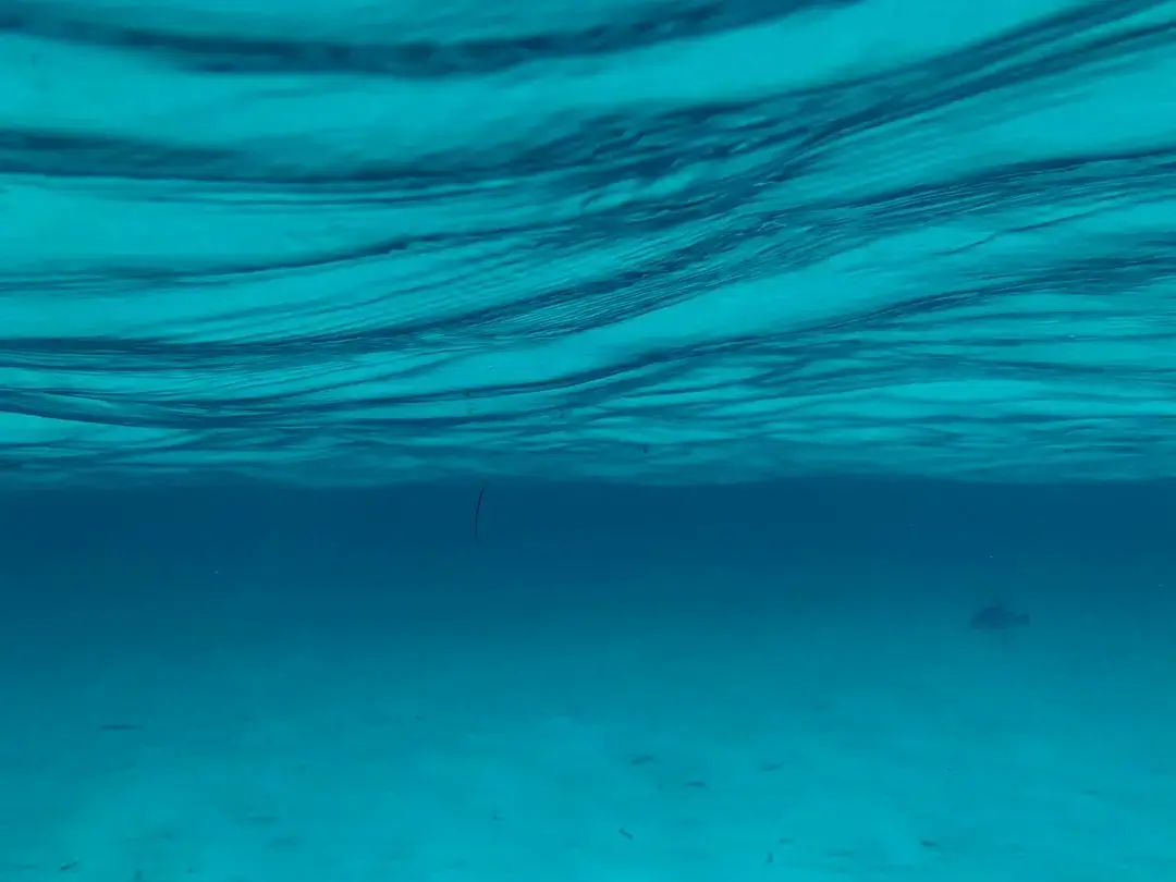 Sunlight rays filtering through deep blue ocean water into the dark depths of the sea