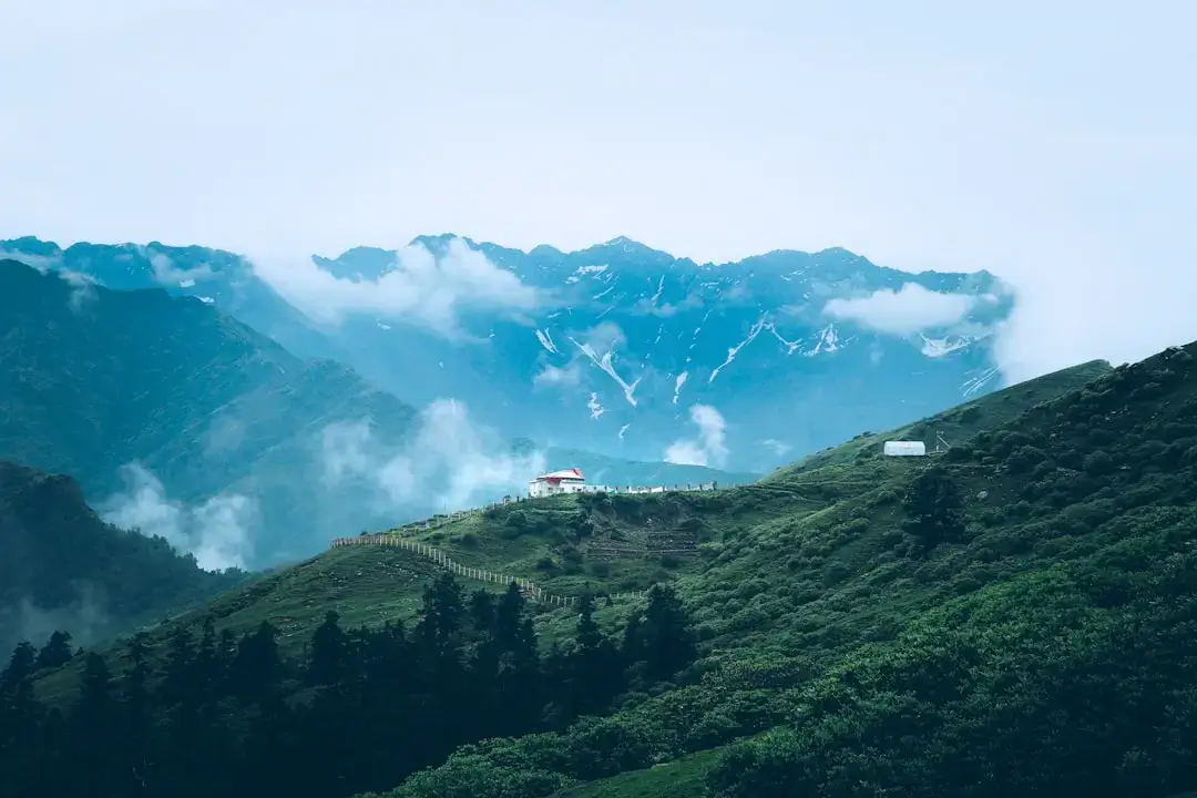 A breathtaking panoramic view of the rolling blue ridges and lush forests of the Georgia mountains during a clear day.