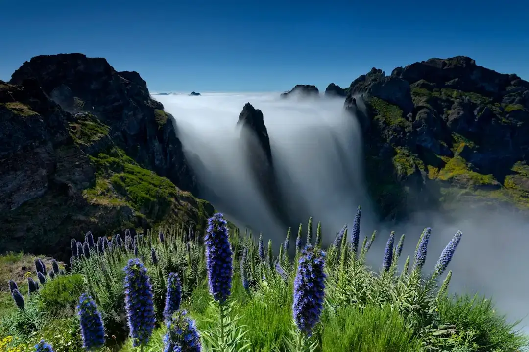 Panoramic view of the misty green mountain peaks and verdant valleys in Madeira, Portugal
