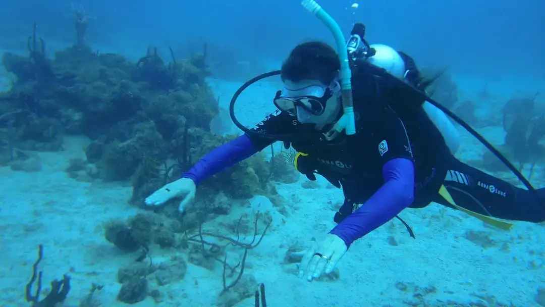 A professional scuba diver swimming alongside vibrant coral reefs and tropical fish in the turquoise waters of Zanzibar.