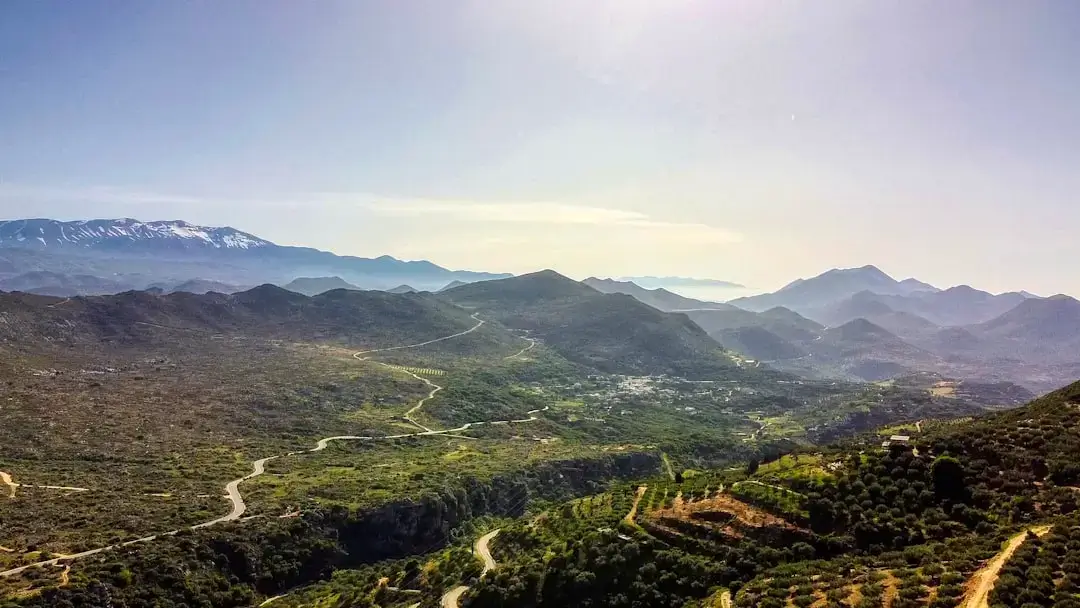 Vibrant blooming wildflowers and green hills in the Cretan countryside during spring.