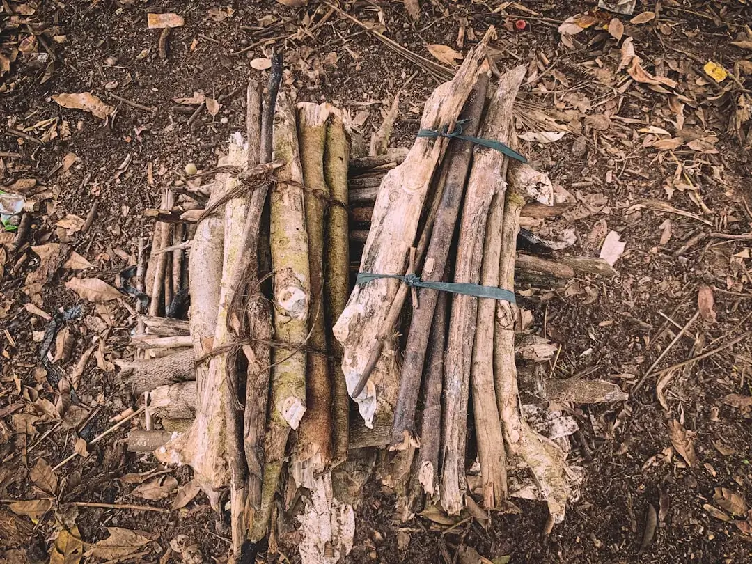 A neat pile of cut tree branches and wood stacked in a lush green garden setting.