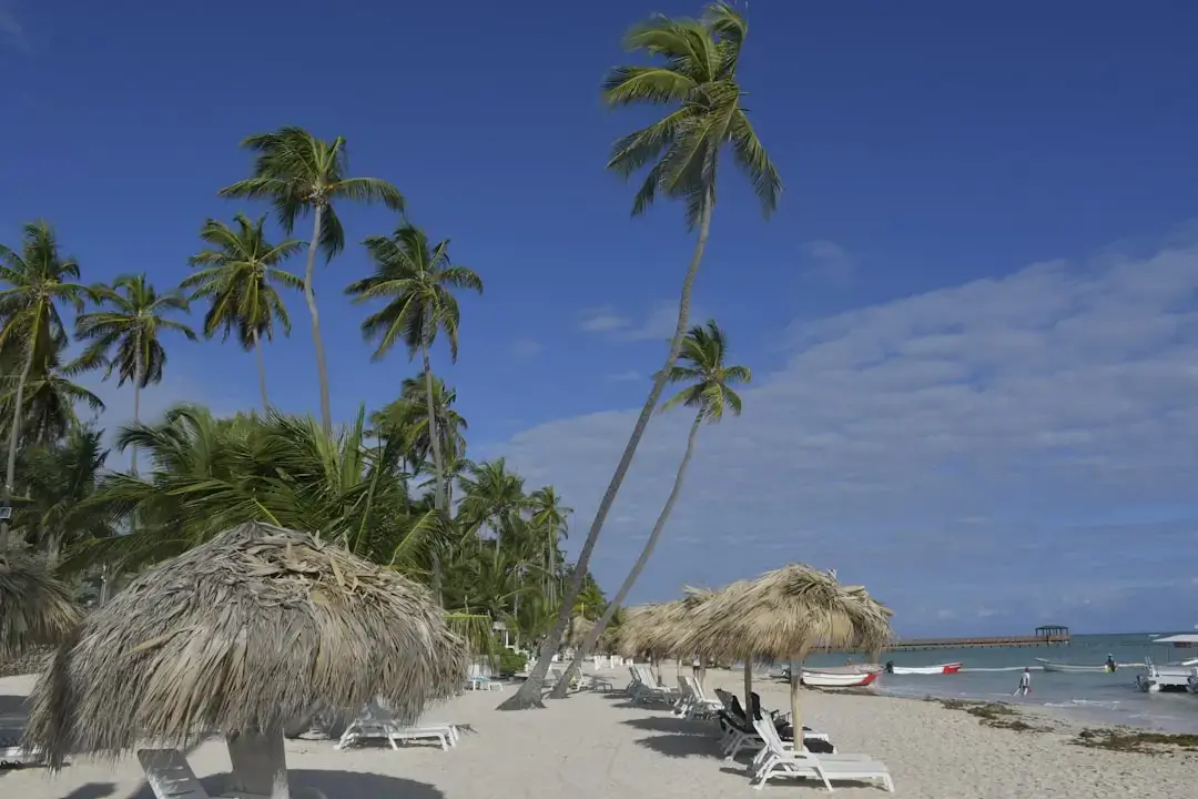 A stunning tropical beach in the Dominican Republic featuring white sand, turquoise water, and palm trees under a bright blue sky.
