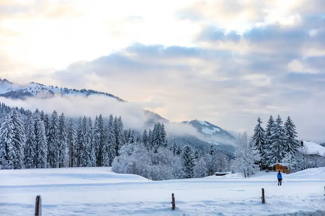 A happy family playing in the deep snow during a winter holiday in the Beskidy mountains.
