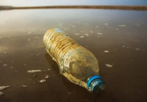 Alternatywy dla plastiku: Przewodnik po zrównoważonych materiałach na co dzień