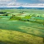aerial photography of green grass field during daytime
