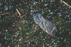 Gdzie wyrzucić wąż prysznicowy? Twoja szybka ściąga z ekologicznego sprzątania łazienki