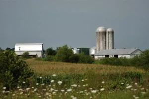 Gdzie wyrzucić agrowłókninę? Segregacja odpadów w eko-jutro.pl