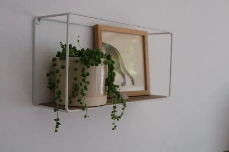 green plant in white ceramic pot