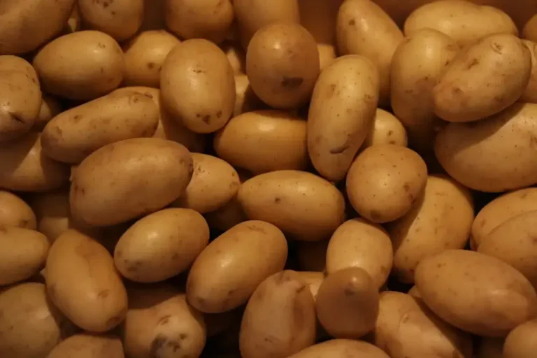 A pile of fresh, small, golden potatoes