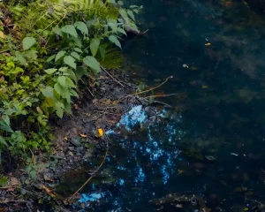 Mikroplastik: Co to jest i dlaczego szkodzi? [Kompendium 2026]