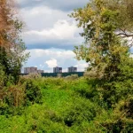 Green hillside with buildings in the distance.