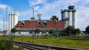 Żywność do długiego przechowywania: Kompletny poradnik [2026]
