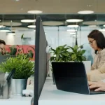 People working at desks in a modern office.