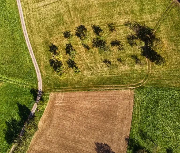 an aerial view of a farm field with trees