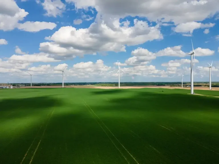 green grass field under blue sky and white clouds during daytime