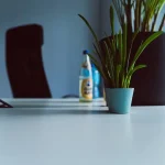 green potted plant on white table