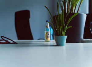 Jak dbać o środowisko w miejscu pracy? Poradnik [2026]