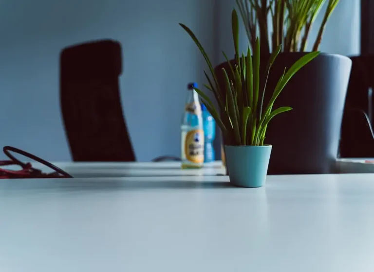 green potted plant on white table