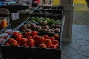Organiczny – co to znaczy? Kompleksowy poradnik [2026]