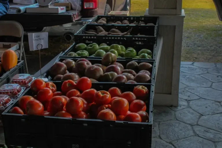 red apples on black plastic crate