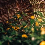 An empty rustic wicker basket woven from natural willow branches, ready for eco-friendly recycling or disposal