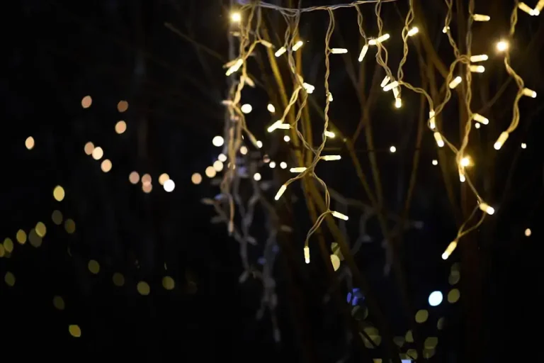 Twinkling yellow lights hang from branches at night.