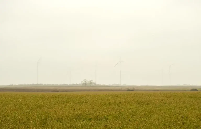 Wind turbines in a hazy field under a pale sky.
