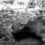 A close-up view of a shattered car windshield glass being prepared for professional disposal and recycling.