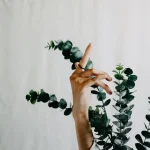 A person holding a small green plant in soil representing the meaning of eco-friendly and environmental protection