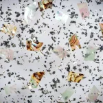 5 Najważniejszych Rodzajów Bioplastiku, Które Musisz Znać w 2025 Roku
