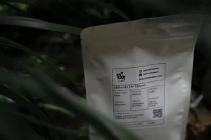 A close-up of a green ecological label on a sustainable product box representing environmental certification.
