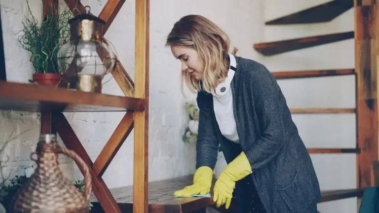 A selection of eco-friendly cleaning supplies and fresh green leaves representing environmental protection.
