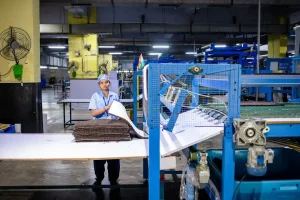 Jak powstaje papier toaletowy? Proces produkcji od A do Z