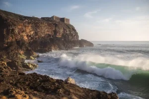Rekiny w Portugalii – czy są niebezpieczne? Przewodnik i fakty