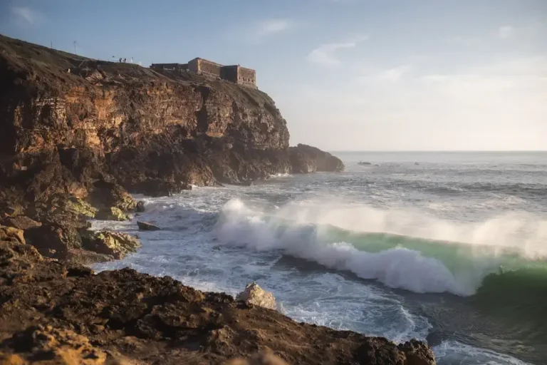 Deep blue waters of the Atlantic Ocean off the coast of Portugal, representing the natural habitat of local marine life.