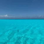 A crystal clear ocean view in Cape Verde where various shark species can be found in their natural habitat.