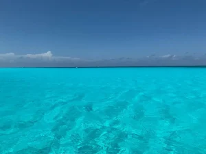 A crystal clear ocean view in Cape Verde where various shark species can be found in their natural habitat.