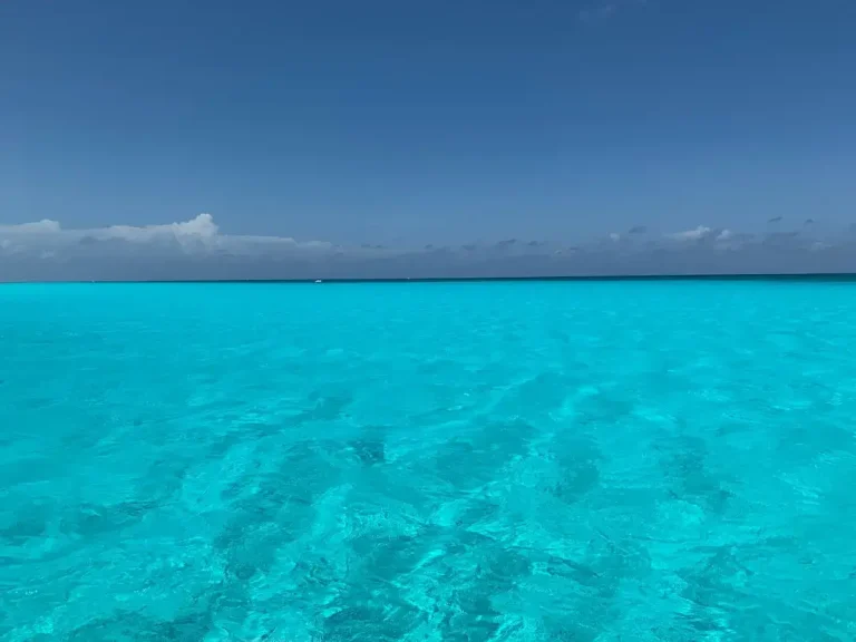 A crystal clear ocean view in Cape Verde where various shark species can be found in their natural habitat.