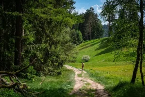 A group of teenagers enjoying outdoor activities and adventure tourism in a scenic Polish landscape.