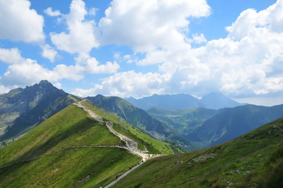 Malowniczy widok na Tatry i szlak turystyczny w Zakopanem, Polska, w wspaniały letni dzień.