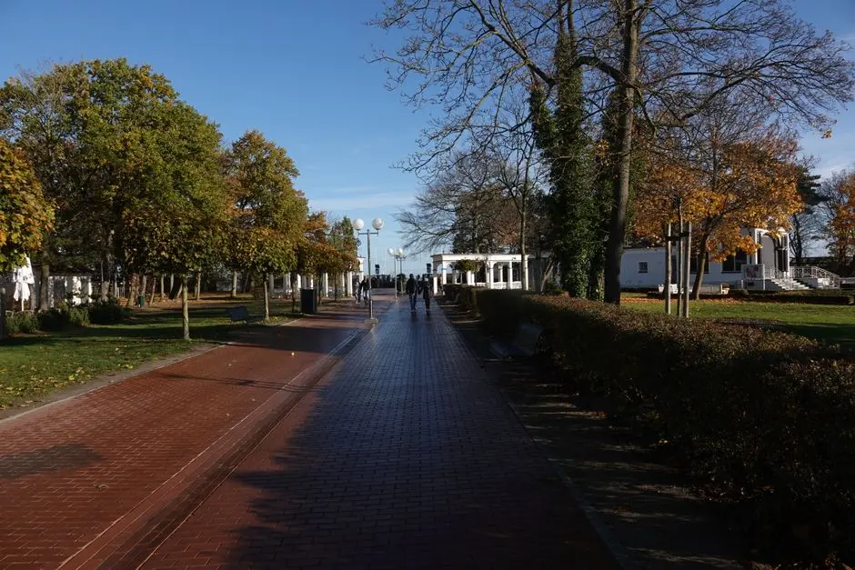 Spokojna sceneria jesiennego parku z aleją drzew i ludźmi cieszącymi się słonecznym dniem.