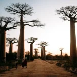 6 Najlepszych Atrakcji Madagaskaru, Które Musisz Zobaczyć w 2026 Roku