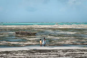 Luksusowy kurort nad Oceanem Indyjskim na Zanzibarze z palmami i piaszczystą plażą