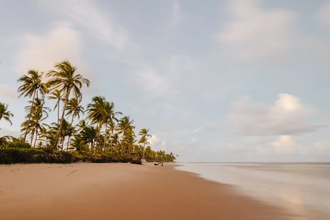 Scenic view of towering palm trees over a white sand beach with turquoise water in Zanzibar.